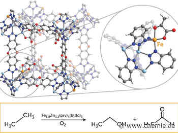 Wie Katalysatoren aus dem Labor dabei helfen, Treibhausgase in den Griff zu bekommen