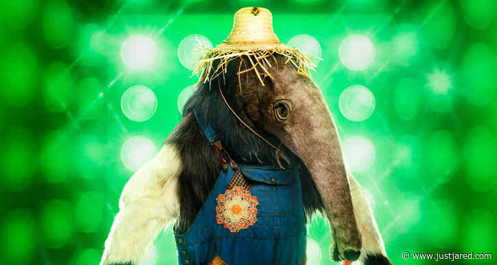 Who is Anteater on 'The Masked Singer' Season 10? Clues, Guesses, & Spoilers Revealed!