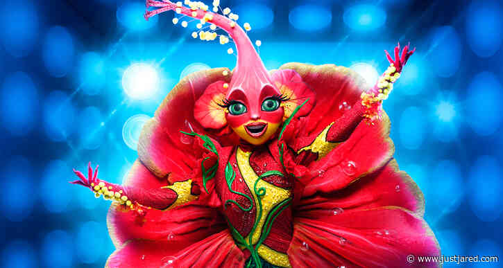 Who is Hibiscus on 'The Masked Singer' Season 10? Clues, Guesses, & Spoilers Revealed!