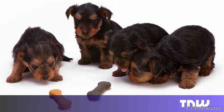 Your pets can now eat meat that’s ‘grown’ in a lab