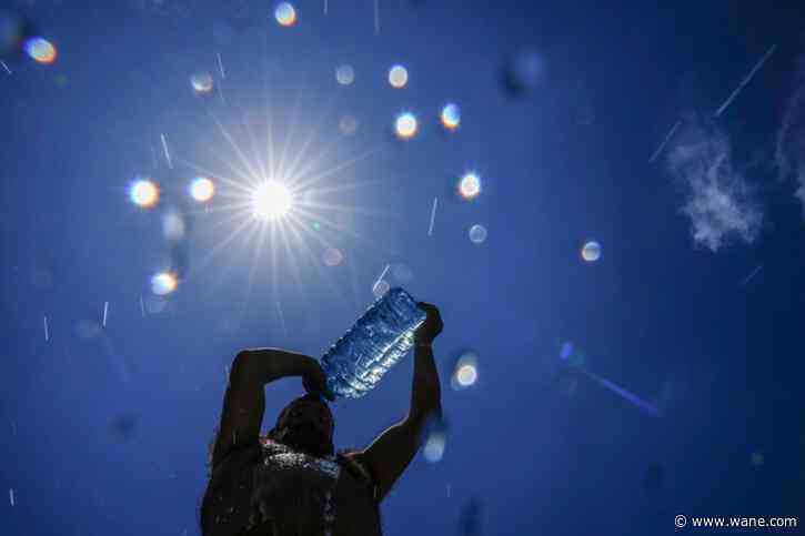 Last 12 months on Earth were the hottest ever recorded, analysis finds