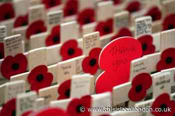 Remembrance 2023: East London services and parades