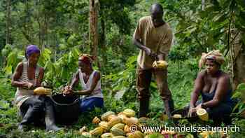 Pionierprojekte mit Produzenten