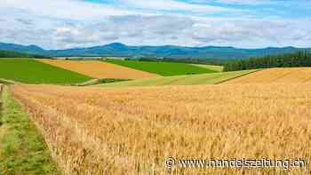 In einen gesunden Planeten investieren