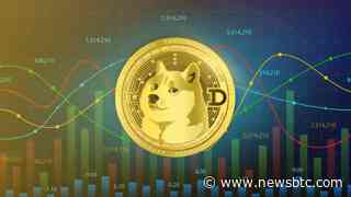 Prepare For Take-Off: Dogecoin Whales Have Injected $2 Billion Into DOGE