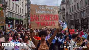 Conversion therapy ban not included in King's Speech