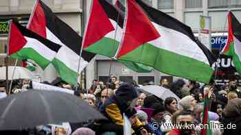 Pro-Palästina-Demos: UN-Menschenrechtsrat kritisiert Deutschland