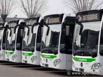 Azienda cerca autisti e dà 1.000 euro a chi li trova: ecco come funziona