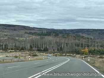 Streit um den Harz: Acht Ex-Förster klagen über den Nationalpark