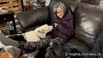 'I feel at peace': Terminally ill Regina woman finds home for beloved trio of dogs