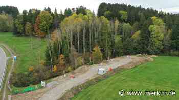 Bernbeurer Baum-Stelzenhaus-Projekt schreitet voran