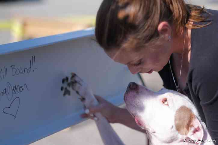 New Humane FW facility to open June 2024