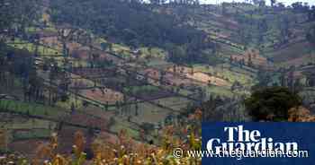 Kenya makes 13 November nationwide tree planting day a public holiday