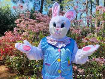 5 On Your Side exposes Expedia's lax hotel vetting process