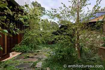 Y3 Garden by Dan Young Landscape Architect with Donovan Hill