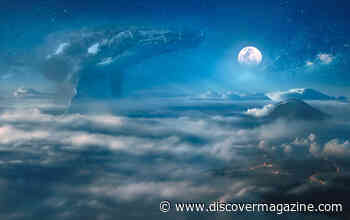 Could Translating Whale Songs Help Us Find Aliens?