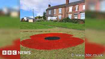 Giant poppies painted on roundabouts and fields across Doncaster