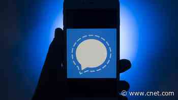 Signal's New Texting Features Give You Better Message Controls, Privacy     - CNET