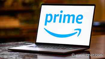 What Amazon Prime Membership Gets You Beyond Free Delivery     - CNET
