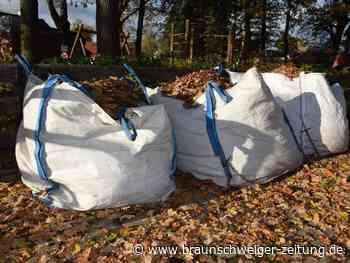 In die Tonne oder was: Wohin mit dem Gifhorner Herbstlaub?