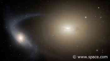 These small galaxies were shredded by their larger siblings — but they survived