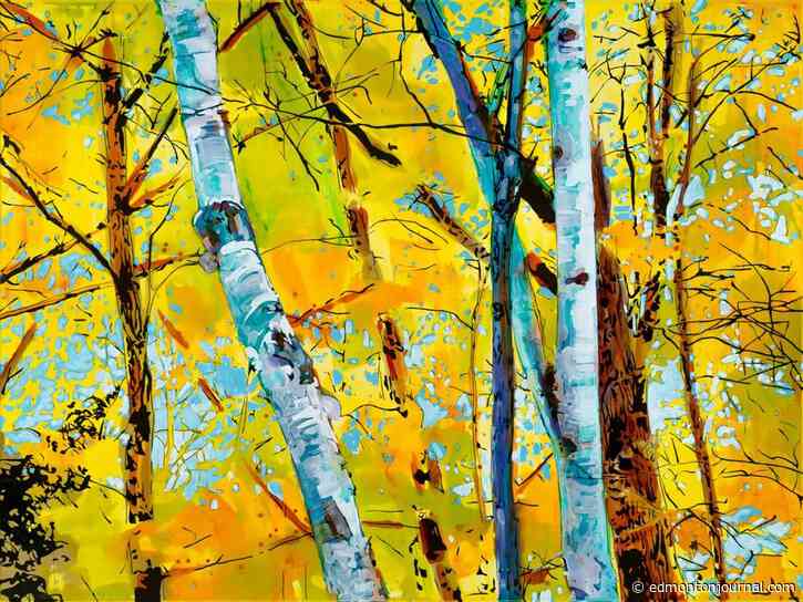 Edmonton Events: Three to See includes Steve Driscoll, Broad View film fest and Shaun Majumder