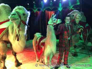Ein einsamer Clown im Zirkus in Vechelde hofft