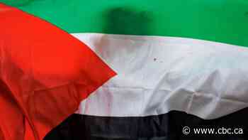 I'm a Palestinian living in Canada, and I can't take the silence