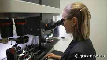 Most Wanted: Edmonton firearms unit helping unlock new details in mass shooting