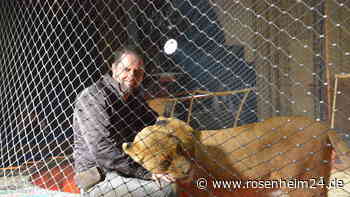 Zwischen Clowns, Löwen und Akrobaten: So magisch war die Premiere im Circus Krone