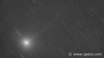 A newly discovered comet will shine bright in the Hercules constellation tonight. Here's how to see it