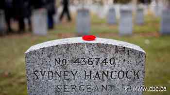 Lest we forget: Remembrance Day ceremonies in Edmonton