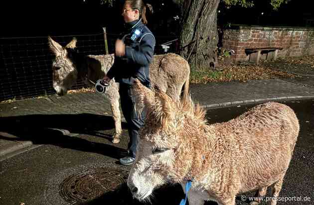 POL-PDPS: Zweibrücken - Mal was Anderes: Ausbrecher zur Nachtzeit unterwegs