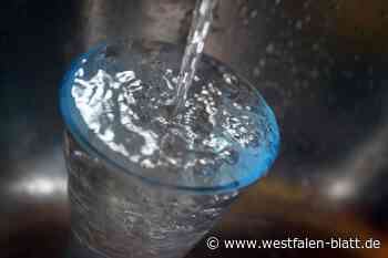 Trinkwasser: Kreistag Höxter macht Weg frei für Kooperation mit Gelsenwasser