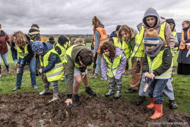 Scholen planten 1.375 bloemen in Flanders Fields