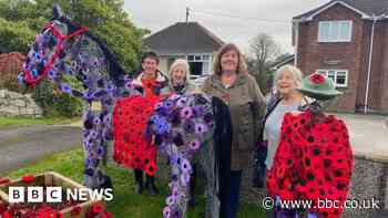 Remembrance tributes across the south west