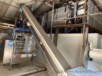 Carbo Glaçons Express investit dans l’ensachage de glaçons pour grandir encore