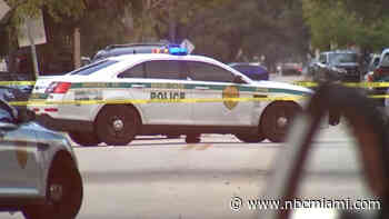 4-year-old girl dies after being shot by brother with unsecured gun in Miami-Dade home: Mother