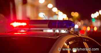 Gurnee officer saves woman from fiery crash