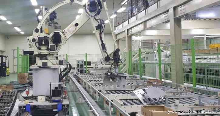 Robot - Reportedly Confused - Accidentally Crushes, Kills Man at Vegetable Packing Plant