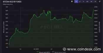 Bitcoin Fund Holdings Hit All-Time High as Spot ETF Excitement Entices Crypto Investors