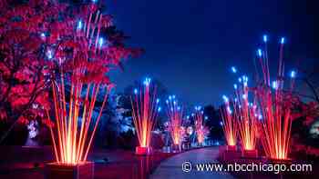 Chicago Botanic Garden's Lightscape returns for the holiday season Friday