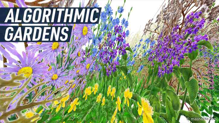 A free algorithm can turn your garden into art for pollinators