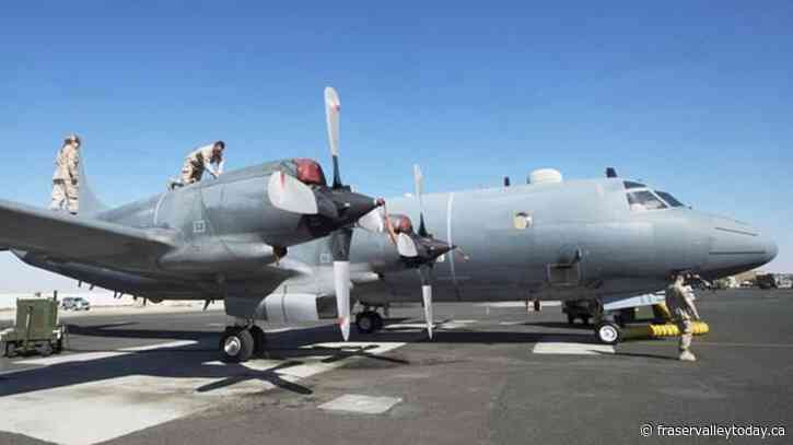 Defence committee calls for open competition on military plane bid