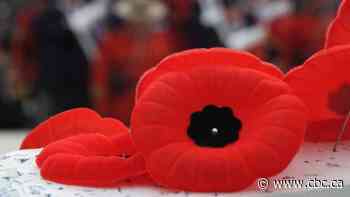 What's open and closed on Remembrance Day weekend in Winnipeg