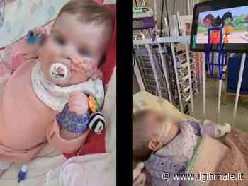 Previsto per domani il distacco delle macchine a Indi. Ultimo appello di Meloni