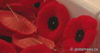 How to honour veterans in Hamilton, Niagara Region on Remembrance Day