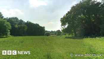 Old Sneed Park: Man exposes himself to woman in Bristol