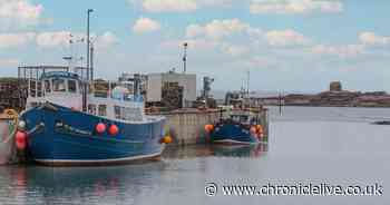 Mystery as Banksy-style artwork appears on lighthouse in Northumberland village