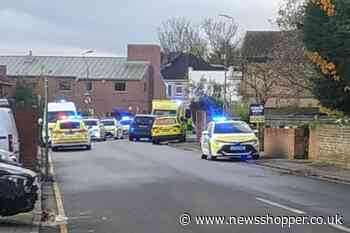 Bedwell Road Belvedere dog attack involved Alapaha Bulldog